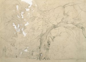 Un giovane davanti a una grande quercia
